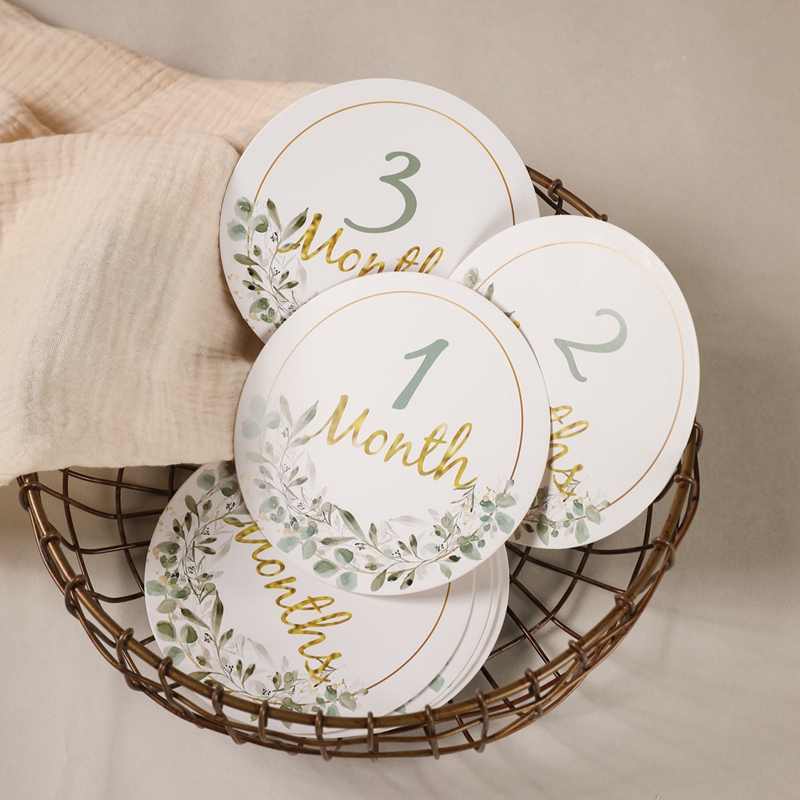 Newborn Gift Set - Baby Milestone Number Monthly Memorial Cards