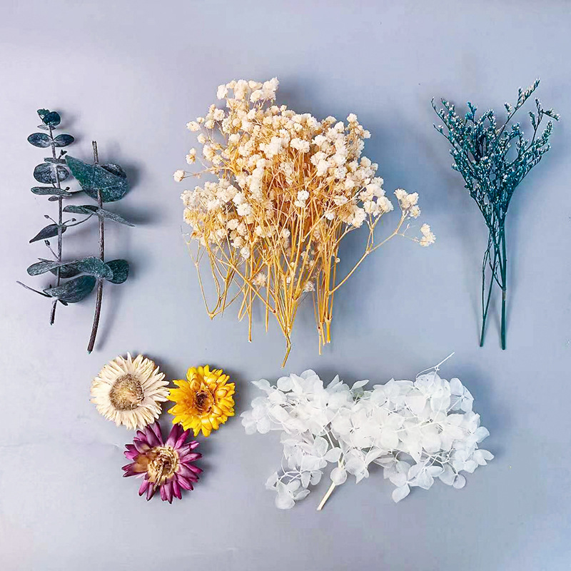 Newborn Gift Set - 1pack Multifarious Dried Flowers Set For
