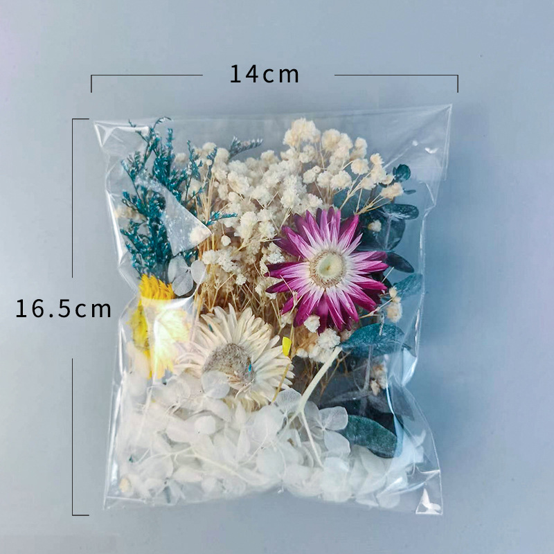 1pack Multifarious Dried Flowe - Newborn Gift Set review and price